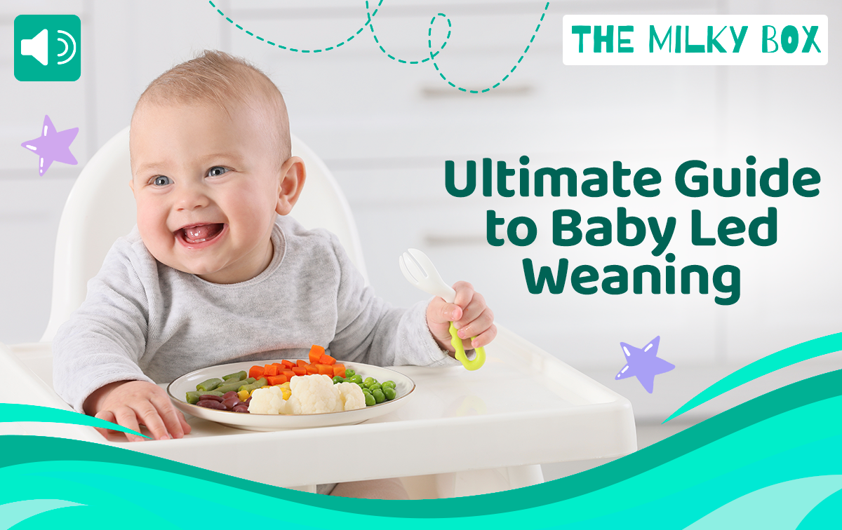 Ultimate Guide to Baby Led Weaning | The Milky Box