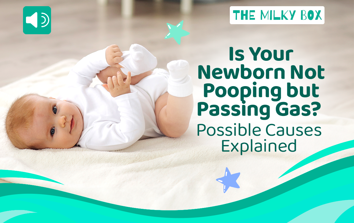 Is Your Newborn Not Pooping | The Milky Box